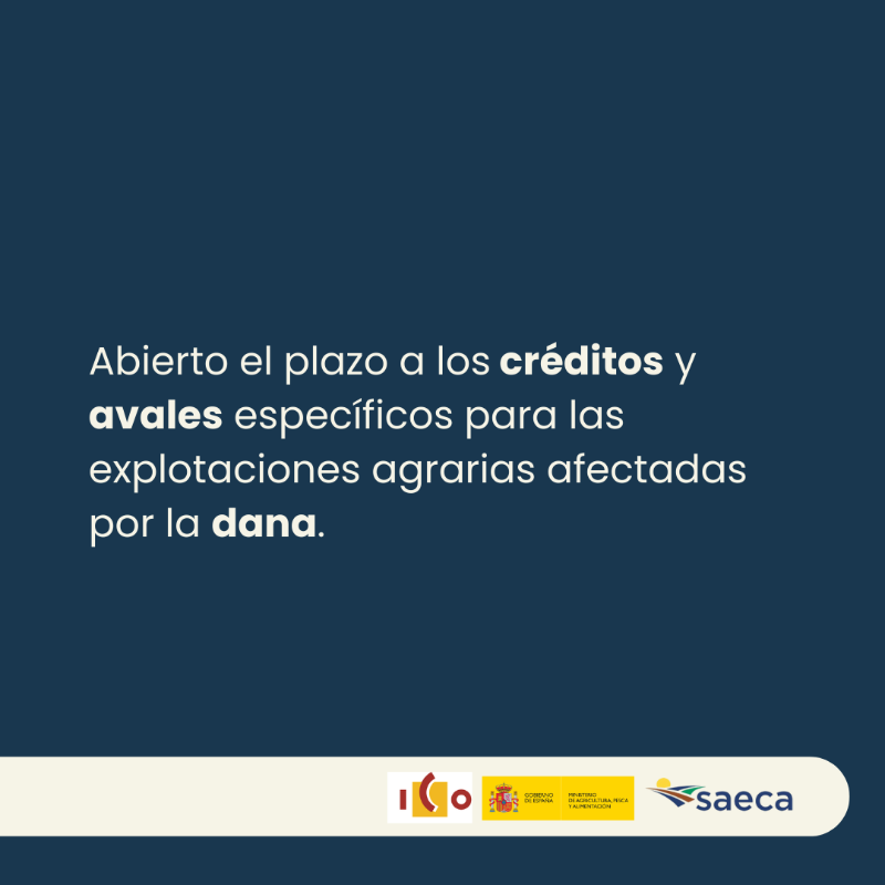 gobmapa's tweet photo. 📢 ¡Abrimos plazo!
Ayudas de financiación a explotaciones agrarias afectadas por la dana, por un total de 53,1 M€.
↳ 41,5 M€ para cubrir hasta el 15% del crédito @ICOgob hasta 100.000€.
↳ 11,9 M€ para subvencionar avales #SAECA
📆Plazo de solicitud hasta el 6 sept 2026.