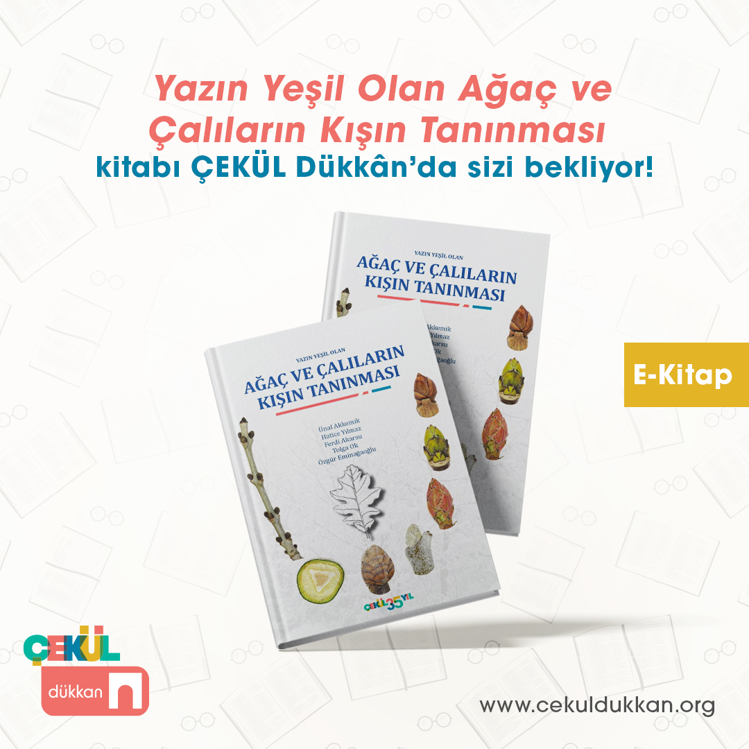 ÇEKÜL Vakfı (@cekulvakfi) on Twitter photo "Yazın Yeşil Olan Ağaç ve Çalıların Kışın Tanınması" kitabı artık ÇEKÜL Dükkân’da! 🍂❄️
Bu ücretsiz e-kitap, kış aylarında doğadaki ağaç ve çalıları tanımanız için harika bir kaynak sunuyor.
🔗Detaylar için: cekuldukkan.org/yazin-yesil-ol…
#ÇEKÜL #ÇekülDükkan <a href="/UnalAkkemik/">Prof. Dr. Ünal Akkemik</a> "Yazın Yeşil Olan Ağaç ve Çalıların Kışın Tanınması" kitabı artık ÇEKÜL Dükkân’da! 🍂❄️
Bu ücretsiz e-kitap, kış aylarında doğadaki ağaç ve çalıları tanımanız için harika bir kaynak sunuyor.
🔗Detaylar için: cekuldukkan.org/yazin-yesil-ol…
#ÇEKÜL #ÇekülDükkan <a href="/UnalAkkemik/">Prof. Dr. Ünal Akkemik</a>