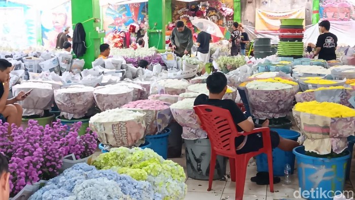 detikfinance's tweet photo. #Foto Pasar Bunga Rawa Belong, Jakarta Barat, merupakan sentra bunga terbesar di ASEAN. Apakah kondisi niaga di kawasan itu seharum namanya? Yuk lihat!
>> https://t.co/8wo5m9hs0a
Foto: Ignacio Geordi Oswaldo/detikFinance
#detikfinance #PasarBunga #ASEAN #Terbesar https://t.co/Wt9PL3FnzP