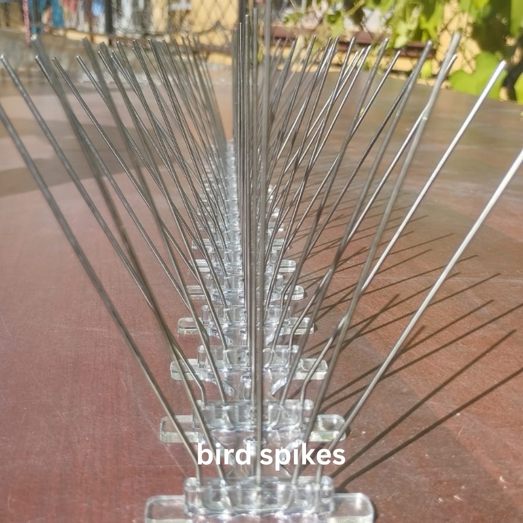 Best bird spikes installation service provider in kathmandu , bhaktapur and lalitpur area 
contact number : 9849939226/9851351073
facebook.com/share/1Aq6JpaN…
instagram.com/professionalcl…