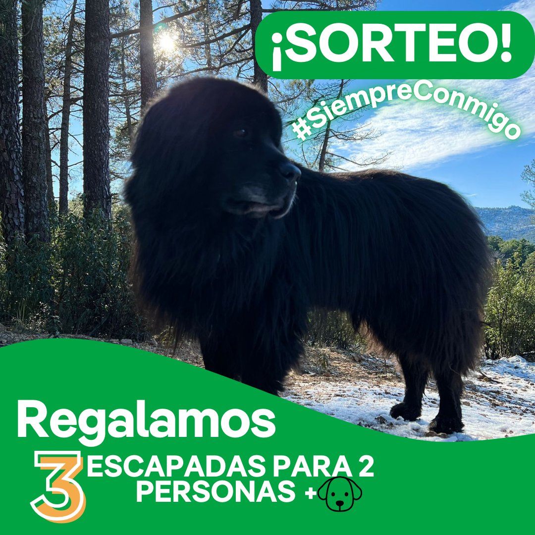 Nos acompañan y son parte de nuestra familia SIEMPRE.🐶
Celebramos el día de #SanAntón SORTEANDO 3 escapadas para dos personas +🐶  ¡a sitios donde puedes disfrutar también con ellos!

¿Cómo participar?
📲Síguenos
♻️RT
🗨️Comenta con #SiempreConmigo
BBLL: iberdrola.com/sala-comunicac…