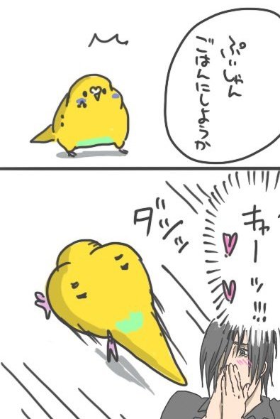 ぷぃしゃんの走る後ろ姿が可愛すぎる 