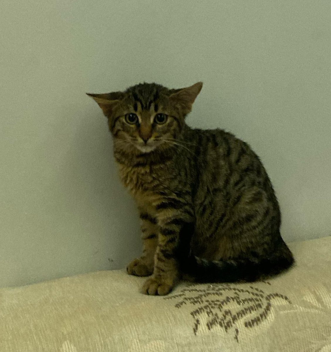 Çuk geç kaldm allah kahrtmesn garibanlık bole bisi