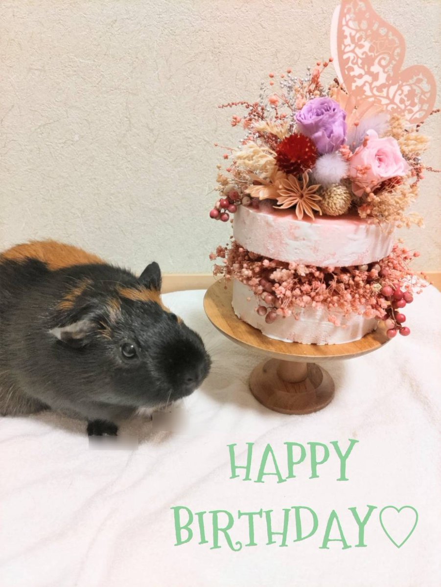 久しぶりです
てん、4歳になりました🎂
元気に過ごしてます(๑^◡^๑)