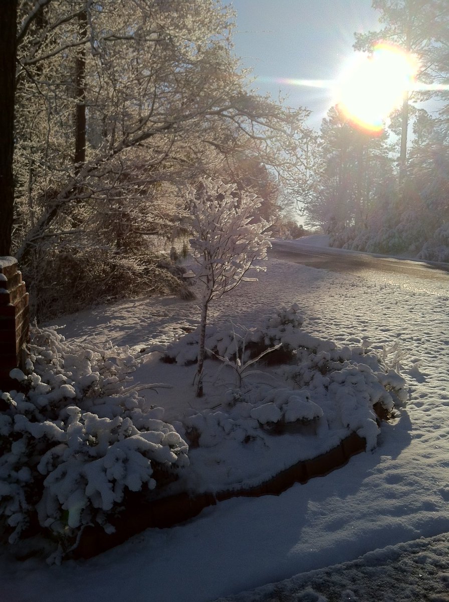 Barbara Kelly tweet media