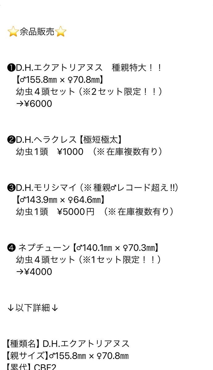 Kakemaru0127's tweet photo. 【※余品販売※拡散希望※】

余品販売ポスト、失礼します😌
全て幼虫になりますが、気になる方は、是非DMまでよろしくお願い致します。

各種類の種親♂画像を、リプ欄に追加で載せますので、参考にご参照ください‼︎

（※エクアとモリシマイはかなり良い血筋ですので、オススメです‼️） https://t.co/0WgRGI4TyW