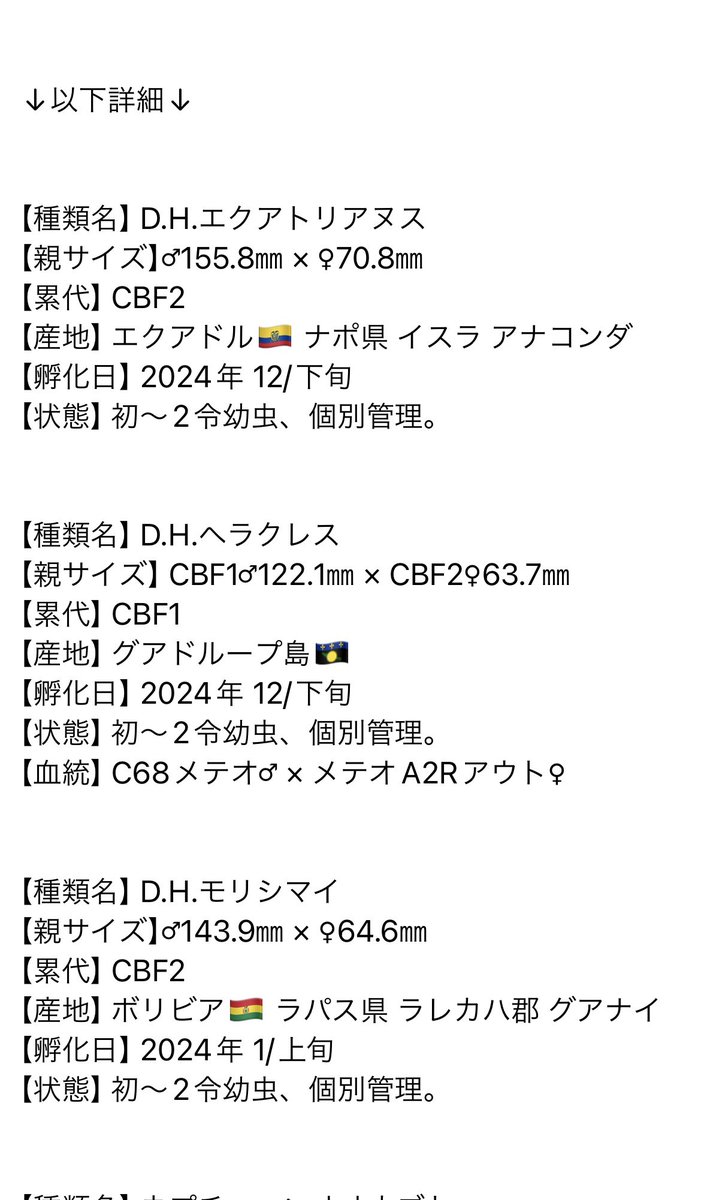 Kakemaru0127's tweet photo. 【※余品販売※拡散希望※】

余品販売ポスト、失礼します😌
全て幼虫になりますが、気になる方は、是非DMまでよろしくお願い致します。

各種類の種親♂画像を、リプ欄に追加で載せますので、参考にご参照ください‼︎

（※エクアとモリシマイはかなり良い血筋ですので、オススメです‼️） https://t.co/0WgRGI4TyW