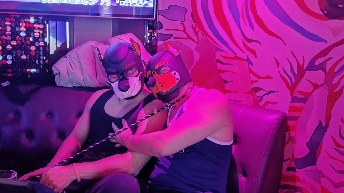 狗狗狗狗
橙色的是<a href="/oddragon_21/">橘栊🌈</a>