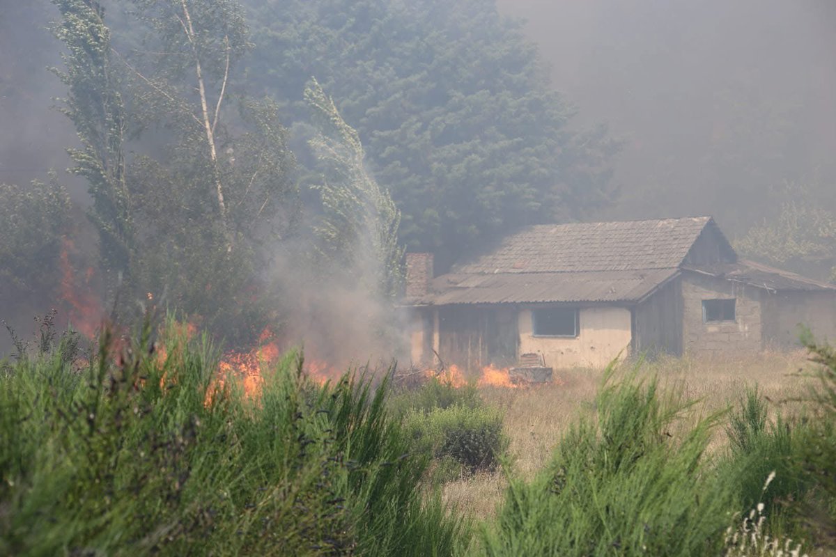 vickyhgunning's tweet photo. @fedeebongiorno Se está quemando la Patagonia. Epuyén, Chubut. Necesitamos urgente ayuda difusión que llegue a todo el país, al gobierno nacional. Nosotras ya perdimos todo, pero el fuego no para. Por favor ayudar con aviones hidrantes bomberos etc., pero difundiendo que llegue a todos https://t.co/cpGlYp3MQt