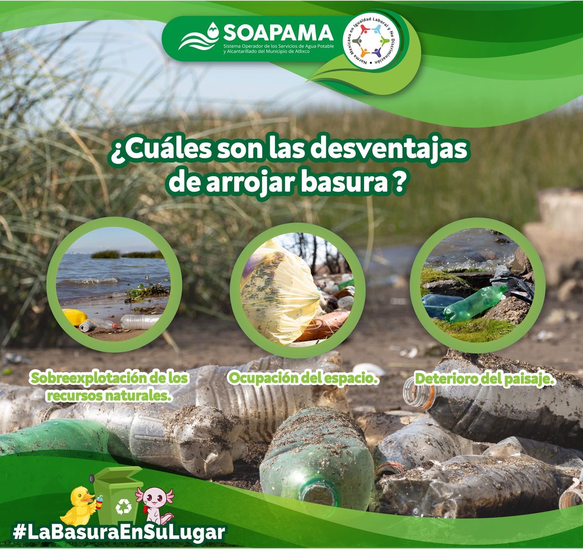 SOAPAMA's tweet photo. #LaBasuraEnSuLugar🚮✅♻️
¿Cuáles son las desventajas de arrojar basura?
Aquí te decimos👇🏻.
Te invitamos a depositar la basura en su lugar, de esta manera contribuirás a evitar la contaminación del #MedioAmbiente💚. https://t.co/l6tzOijKTG