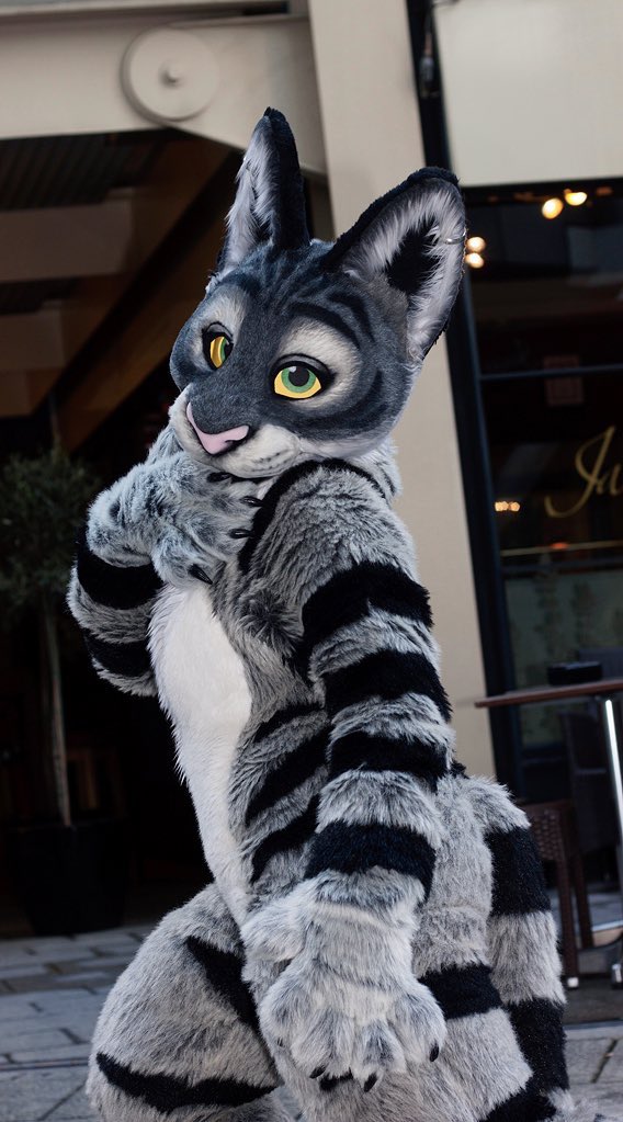 _MechanicalCat_'s tweet image. Which fursuiters did you love most during the peak fandom days??

These were my absolute FAVORITES I stanned so hard. Shannie, Kaweki, OMG Sparky, and the green tig 💖😫