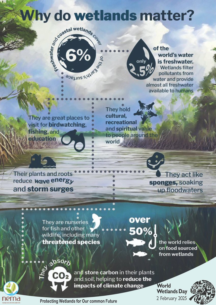 Life thrives in wetlands, and human life depends on them. 

Wetlands provide the home for many endangered and threatened species and a multitude of endemic
plants and animals can only survive in certain wetland locations. 

Beyond the clean water and food that wetlands provide,