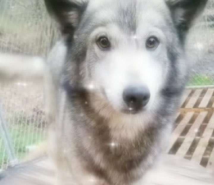 Clear All Meyneth tweet media