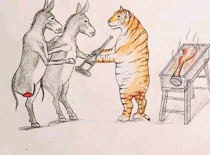 We, according to the picture...