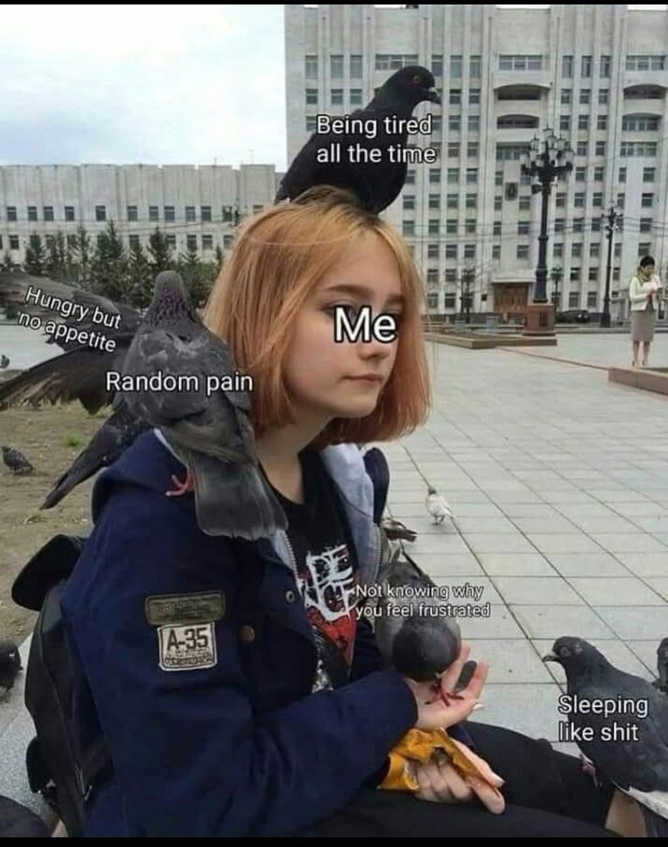 ADHDForReal's tweet image. 