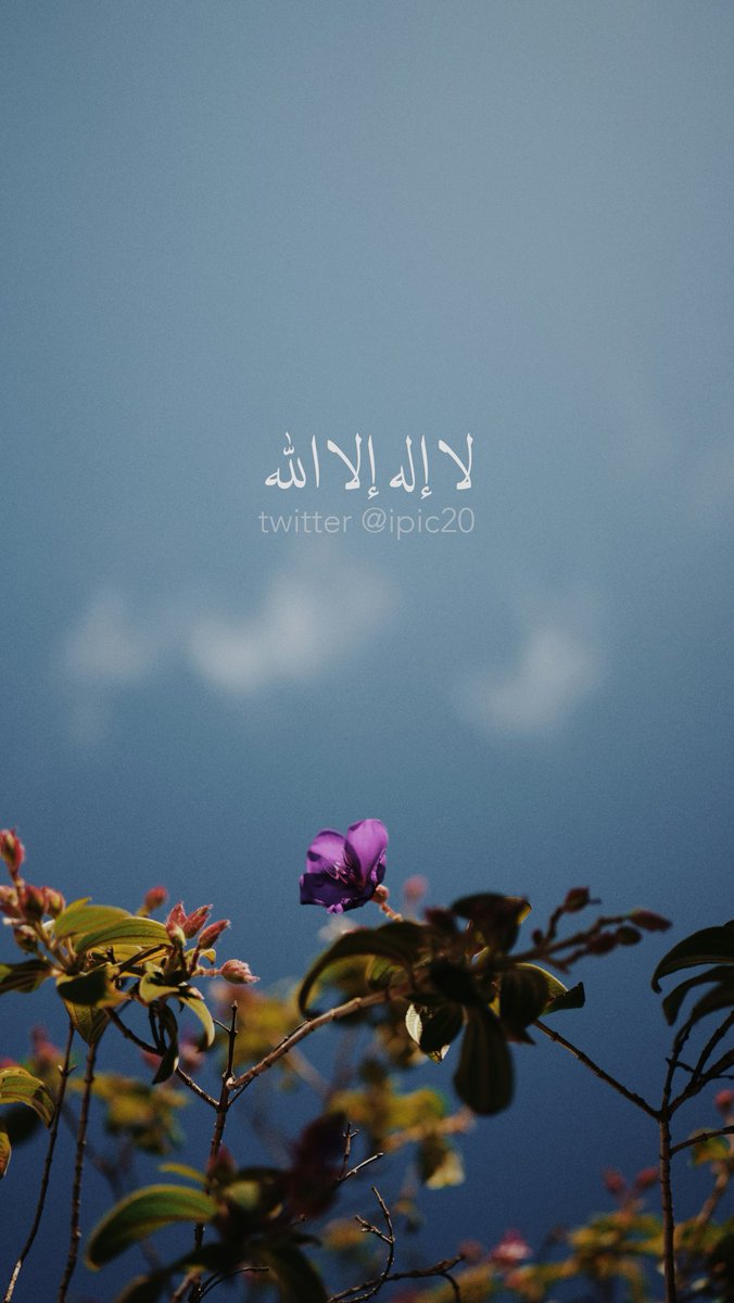 ipic20's tweet photo. خلفيات فيها ذكر الله.. جودة HD https://t.co/rflIzOJq2p