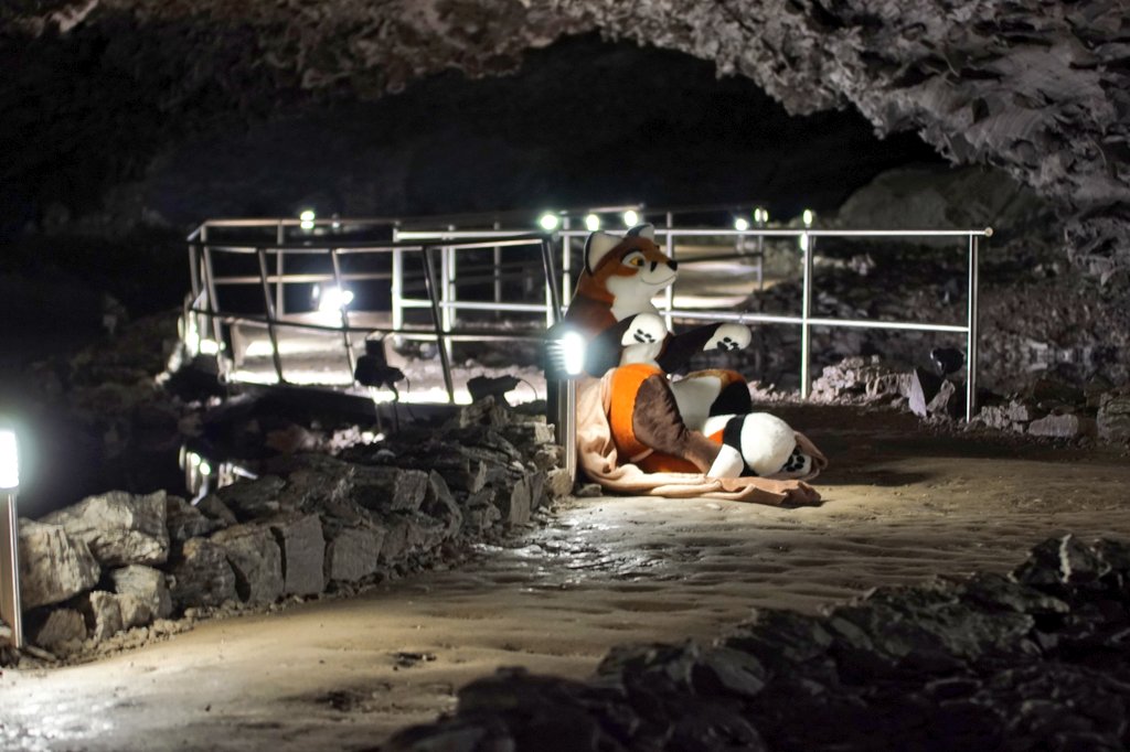 War mit meinem <a href="/PlushLife_eu/">PlushLife</a> Fuchs in einer wunderschönen sagenumwobenen Barbarossahöhle.