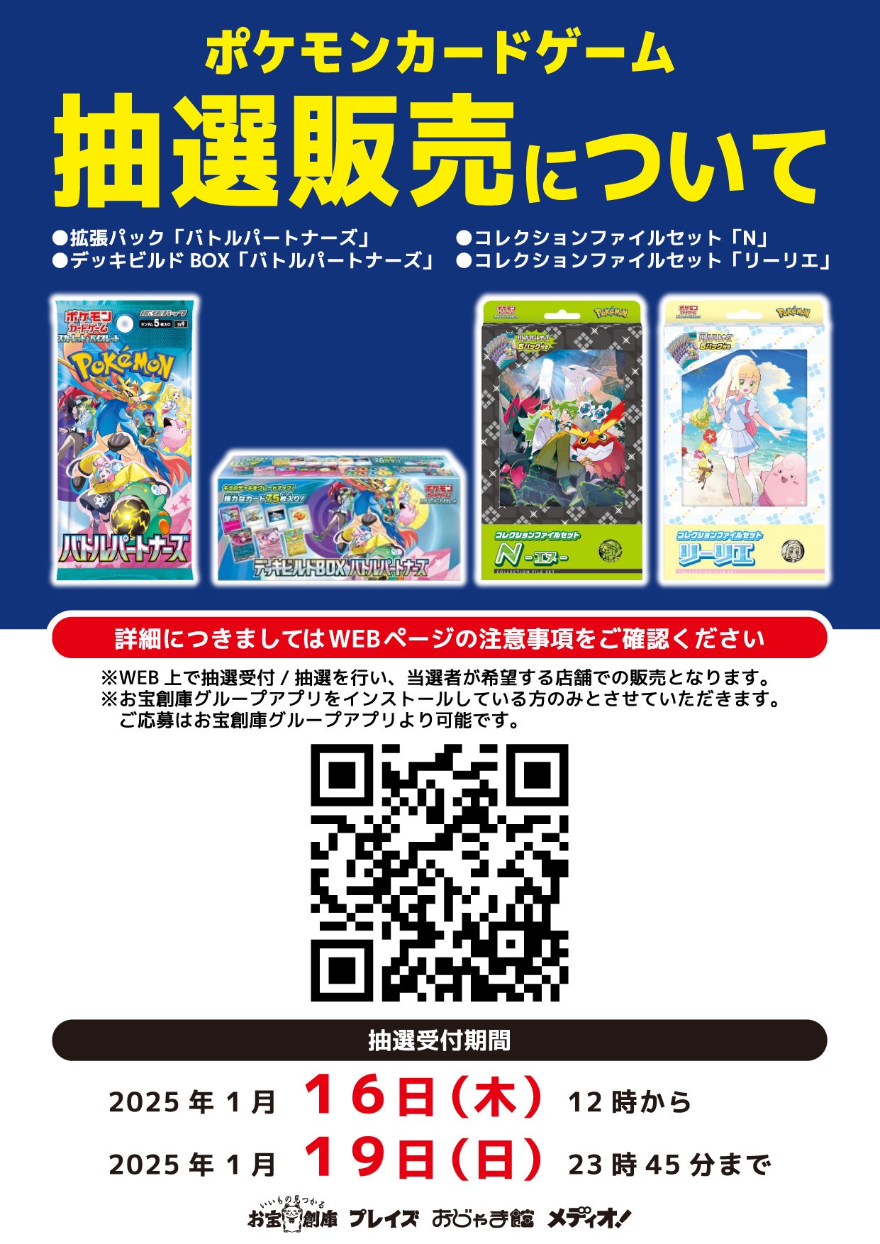 コレクションファイルセット リーリエ 5個セット （コレクション