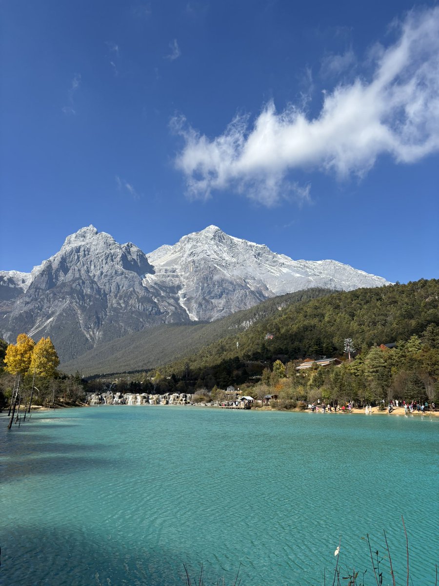 Afiq Shamnazri tweet media