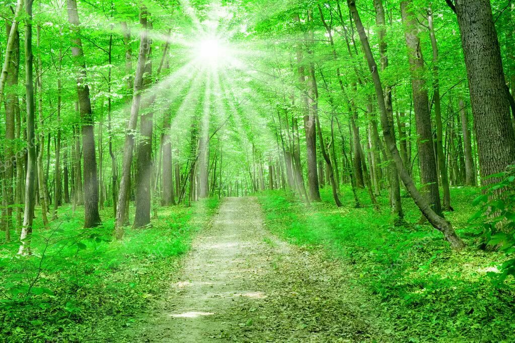 #صباح_الخيرᅠ 
"لا بأس بقليل من الحزن في مقابل أن تتخذ قرارًا صحيحًا تبني عليه حياتك، فأحيانا تكون القرارات القاسية هي السبيل الوحيد لواقع أفضل.. الوقت يعالج كل شيء أو يهدم كل شيءلكن هذه المرة أسأل الله من كل قلبي أن يكون الوقت خير شفاء
 #ارض_السعيده_للدعم 
#ارض_السعيده_للتبادل