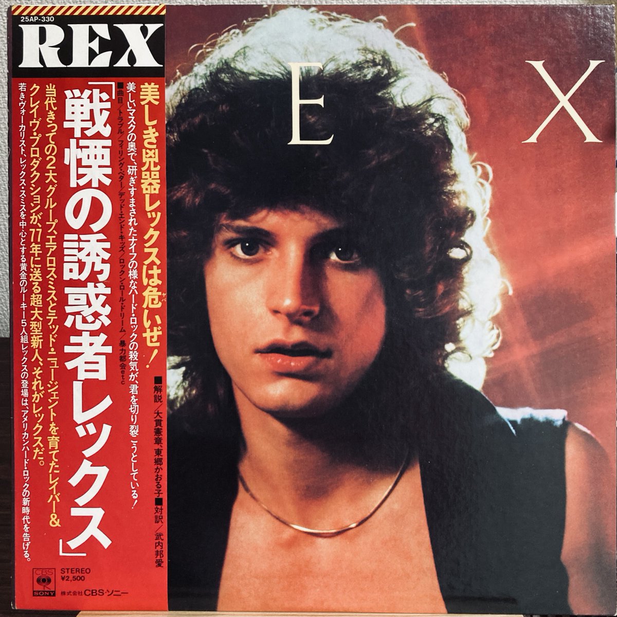 BlueSpiritBlues's tweet image. レックス『戦慄の誘惑者レックス』
美しき凶器レックスは危いぜ！
#VinylRecords #RexSmith #NowPIaying