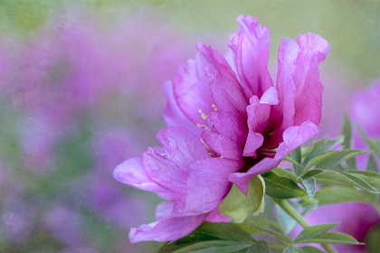 So that slippage issue and toxic flow you get on other DEXs isn’t really relevant in terms of arbitrage opportunities for market makers, because they really need to think if they want to manipulate the market.