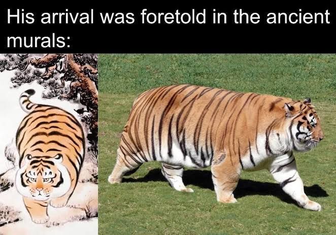 WholesomeMemes (@wholesomememe) on Twitter photo 