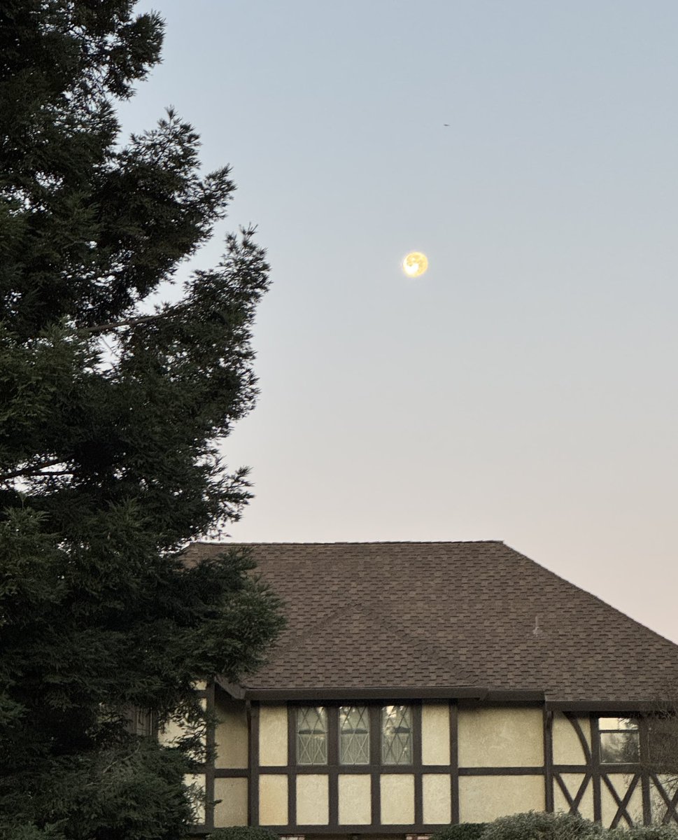 MichelleDuquee's tweet photo. Hoy en la mañana aun se miraba la Luna https://t.co/iOTfuUDUCa