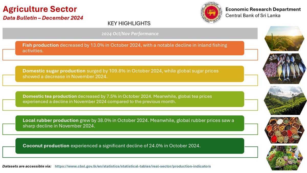 CBSL's tweet photo. Agriculture Data Bulletin for December 2024 is now available on CBSL website.  

Access the below link for more information. 
https://t.co/0NTMegc0ht

#CBSL #SriLankanEconomy #AgricultureSector #DataBulletin https://t.co/CUl5IpCvtS