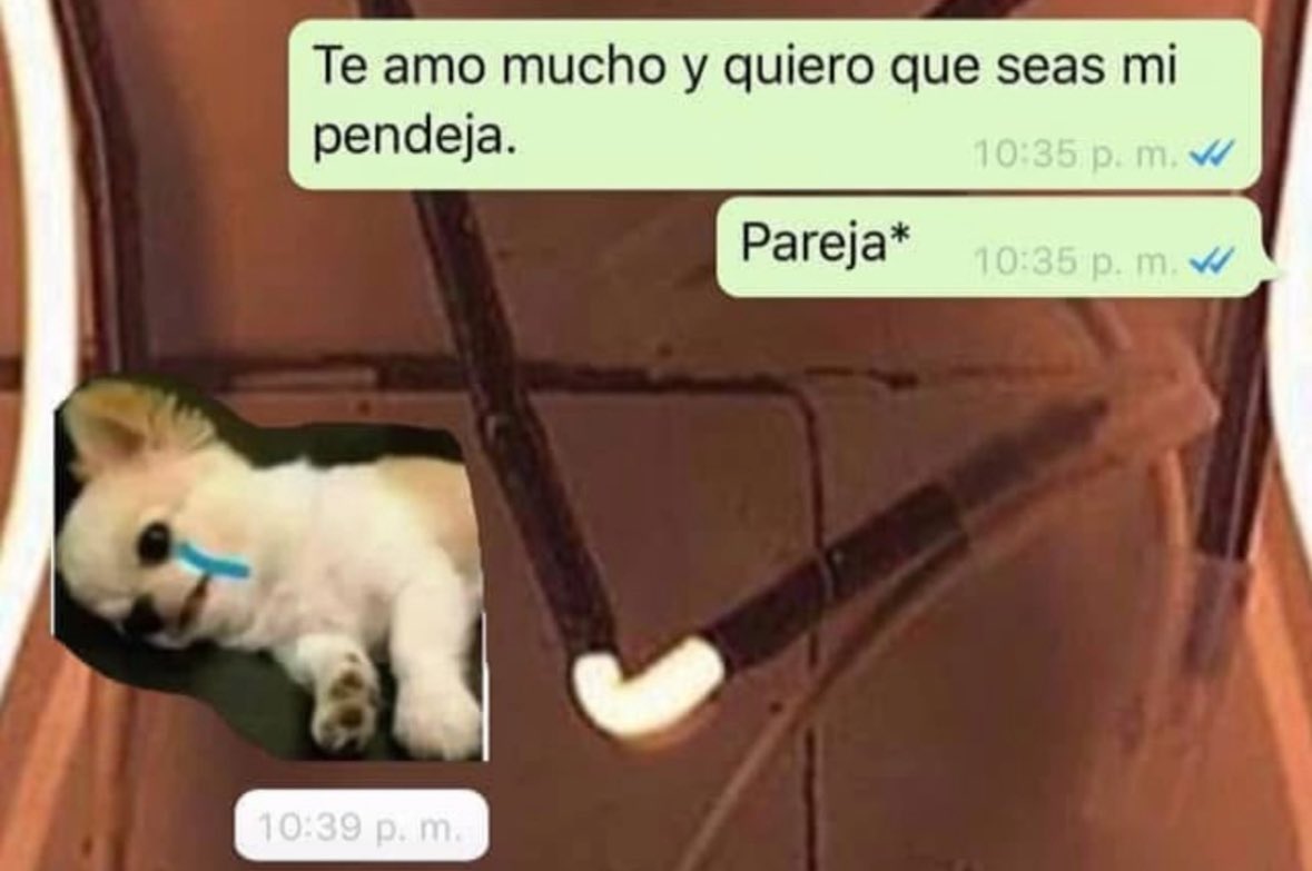 pech_villa's tweet photo. JAJAJAJA, sería muy cagado que pasara esto https://t.co/kcNx0lHDaI