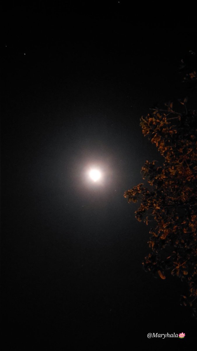 MariaMaryhala's tweet photo. ❄️☃️❄️
Hace mucho frío en San José 🇨🇷 pero el cielo está fantástico,
aún hay una brillante luna y muchas estrellas.
Soporto un poco el hielo para observar hoy #congratitud las #maravillasdelcosmos.
Siempre hay que mirar al cielo,
antes de cerrar la puerta.
#Leyendasefardí https://t.co/cN4x6JqMHG