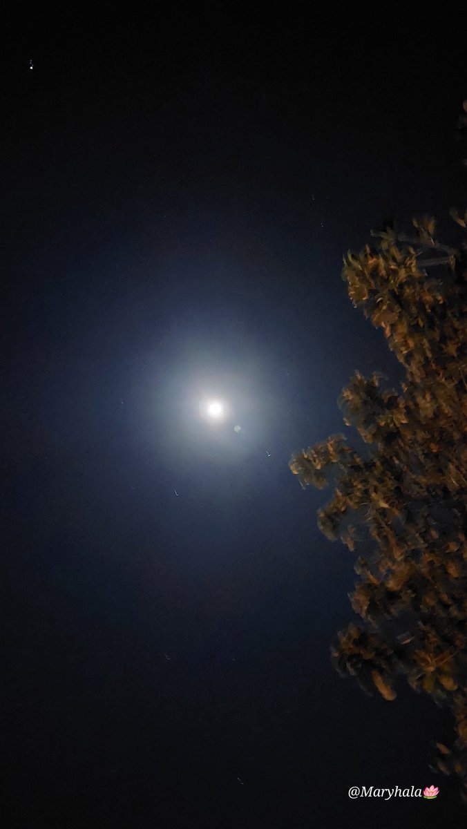 MariaMaryhala's tweet photo. ❄️☃️❄️
Hace mucho frío en San José 🇨🇷 pero el cielo está fantástico,
aún hay una brillante luna y muchas estrellas.
Soporto un poco el hielo para observar hoy #congratitud las #maravillasdelcosmos.
Siempre hay que mirar al cielo,
antes de cerrar la puerta.
#Leyendasefardí https://t.co/cN4x6JqMHG