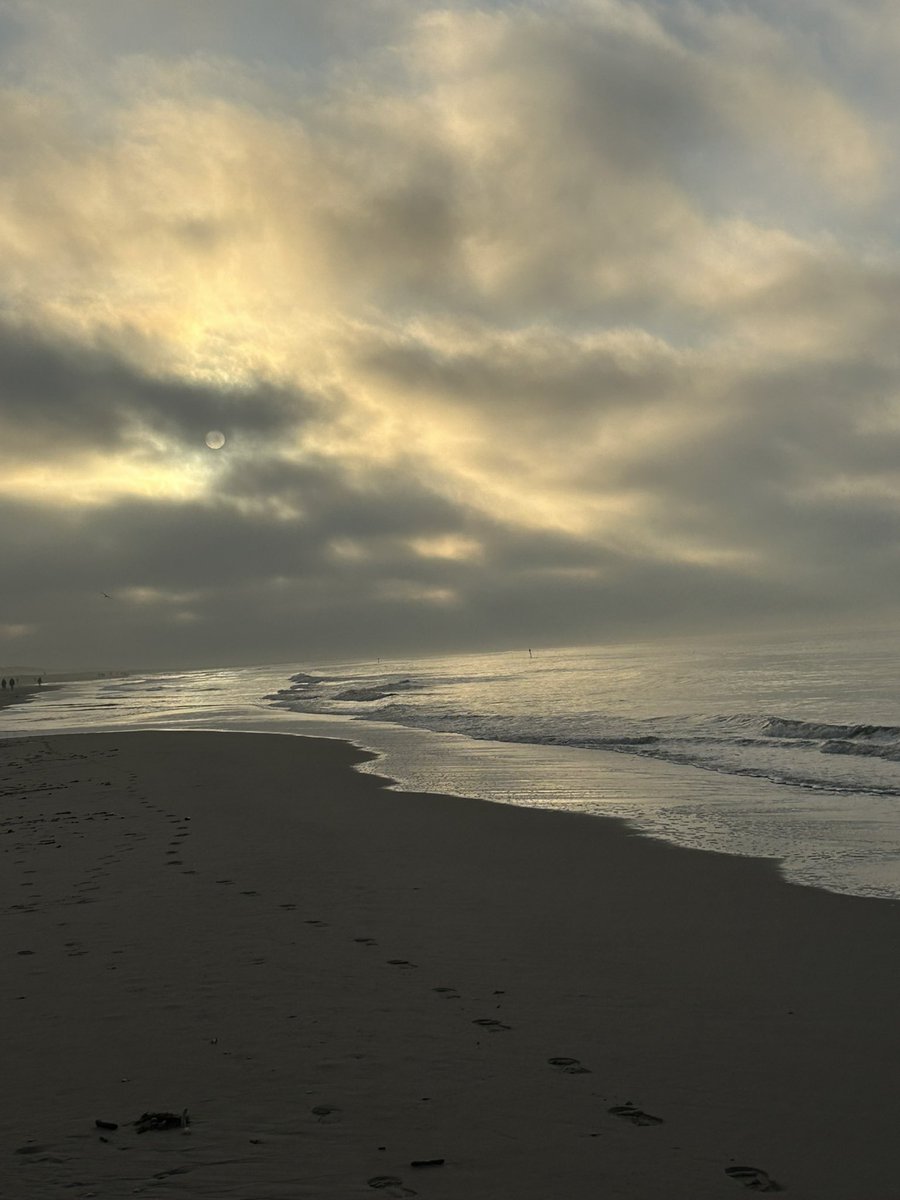 Mijn huid schuiert de ochtendkou,
zoals je soms ook ziet,
hoe een blad met een laagje dauw,
van eigen kracht geniet.
#dagdicht