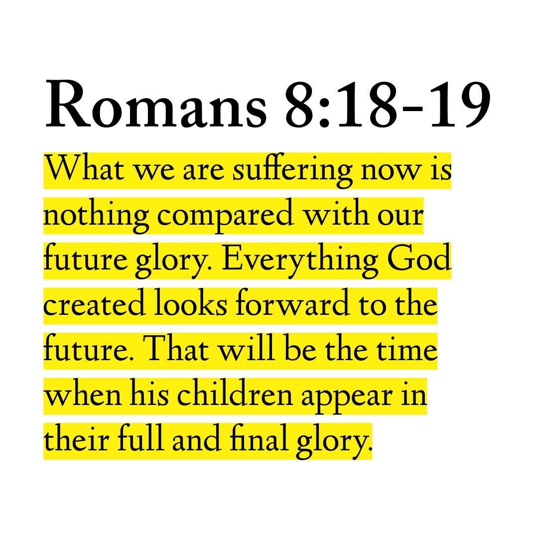 HolyBiblePosts's tweet photo. https://t.co/kfuXwsMQa8