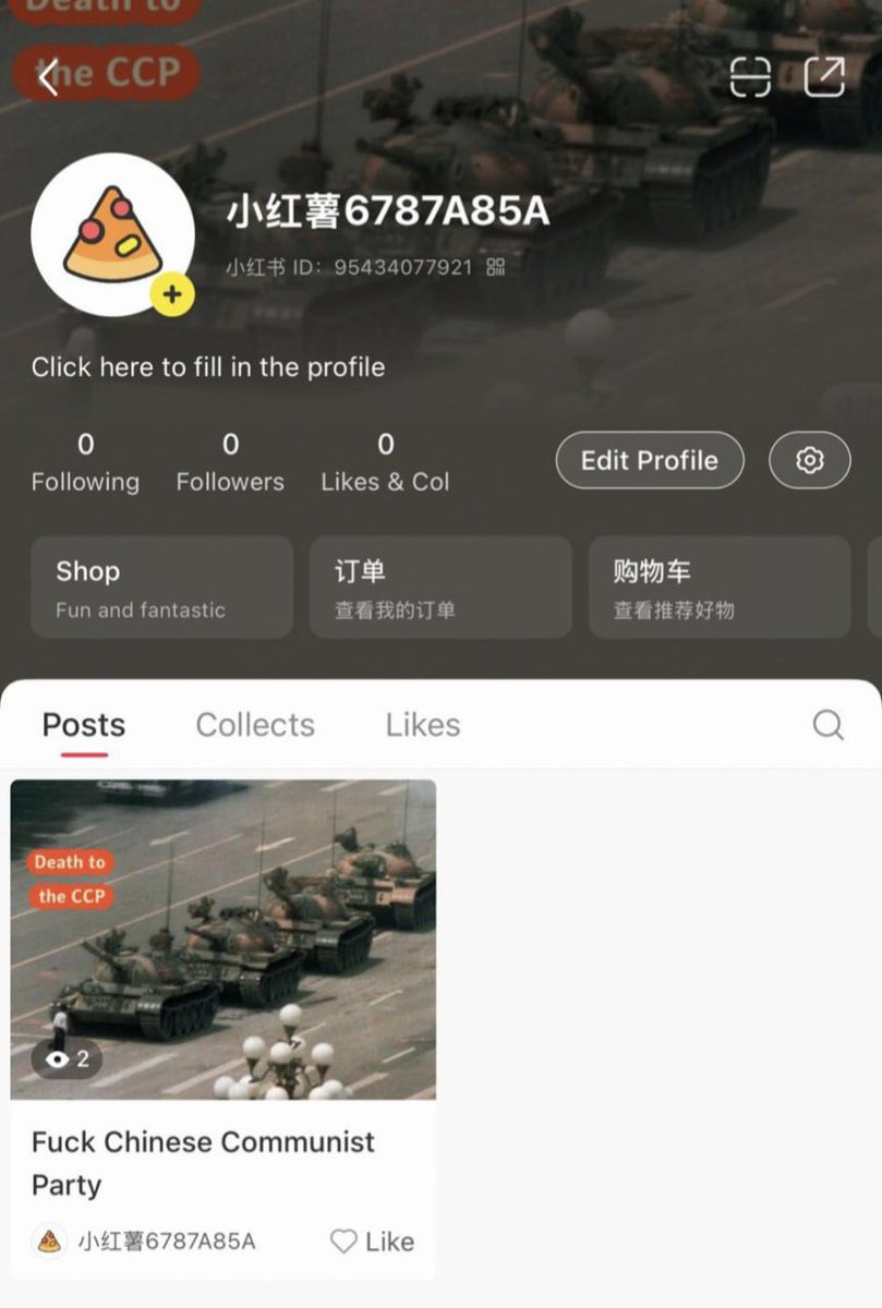 枫糖小猫 tweet media