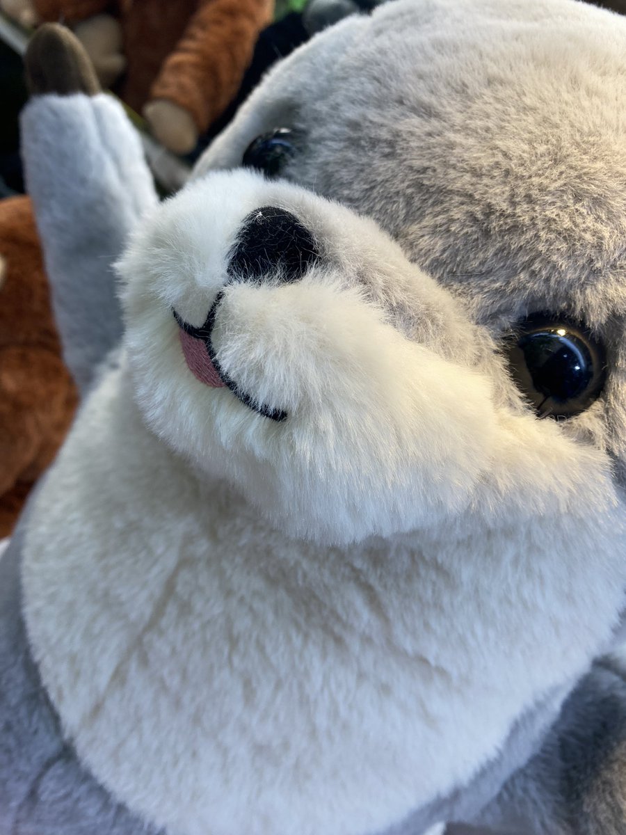 新商品入荷✨ くったりカワウソたっちキューティウルトラBIG🌊 今まで