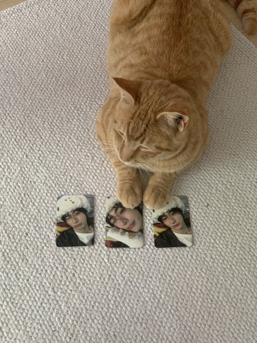 balgurae_'s tweet photo. 고먐미도 앤톤이가 좋대

#라이즈 #앤톤 #riize #anton #cat #고양이 https://t.co/oA6B50vqxY