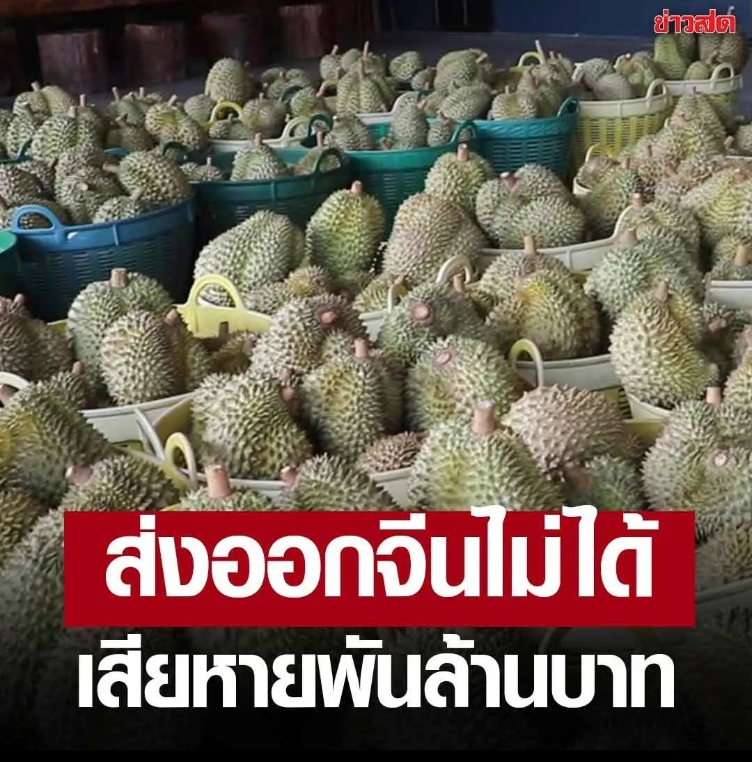 Tarot to youuuu tweet media