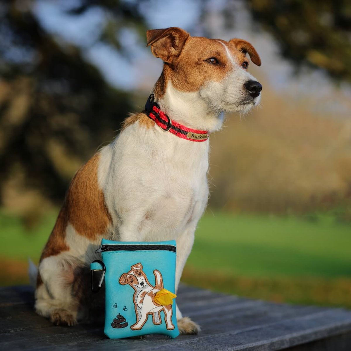 Dotty4Paws (@dotty4paws) on Twitter photo Even picking up after your pup can be fun with one of these cute embroidered poo bag holders from <a href="/DistinctivePets/">Distinctive Pets - home of Muddy Dog Day</a>
Available in a range of dog breed designs and colour options 🐶
dotty4paws.co.uk/product/embroi…
#Earlybiz Even picking up after your pup can be fun with one of these cute embroidered poo bag holders from <a href="/DistinctivePets/">Distinctive Pets - home of Muddy Dog Day</a>
Available in a range of dog breed designs and colour options 🐶
dotty4paws.co.uk/product/embroi…
#Earlybiz