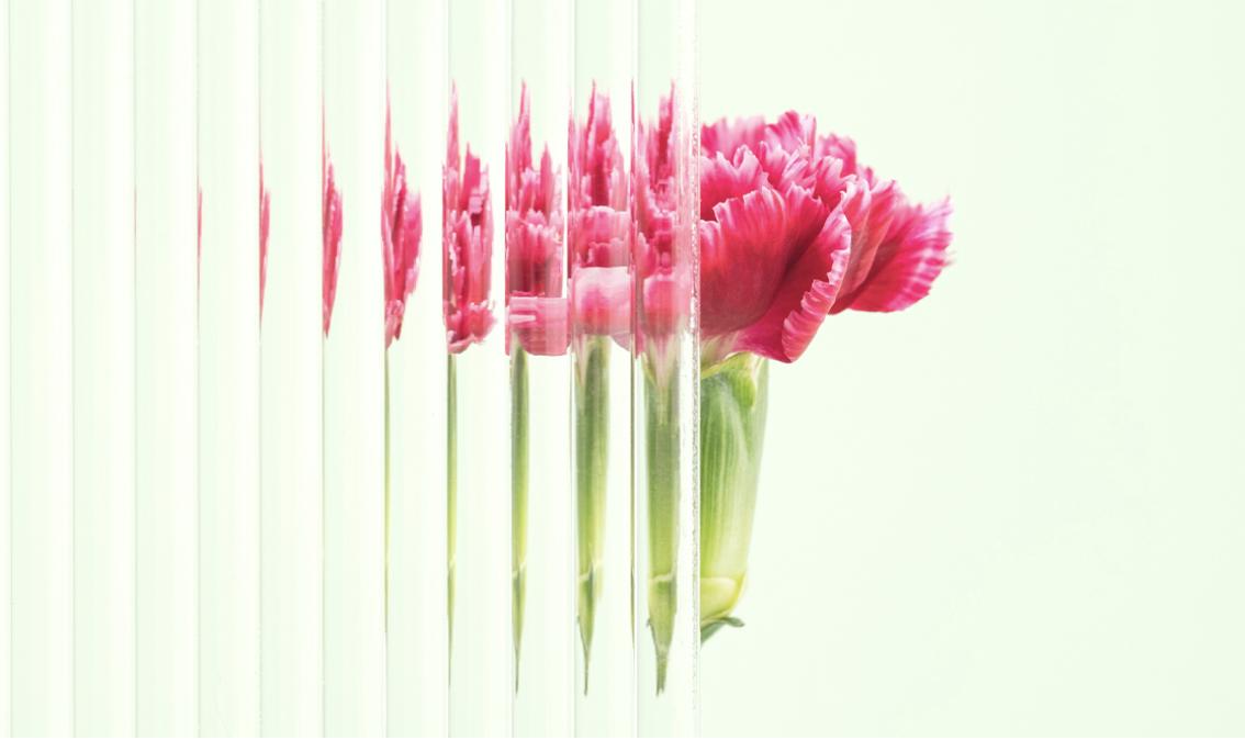 Alessandro Franza tweet media