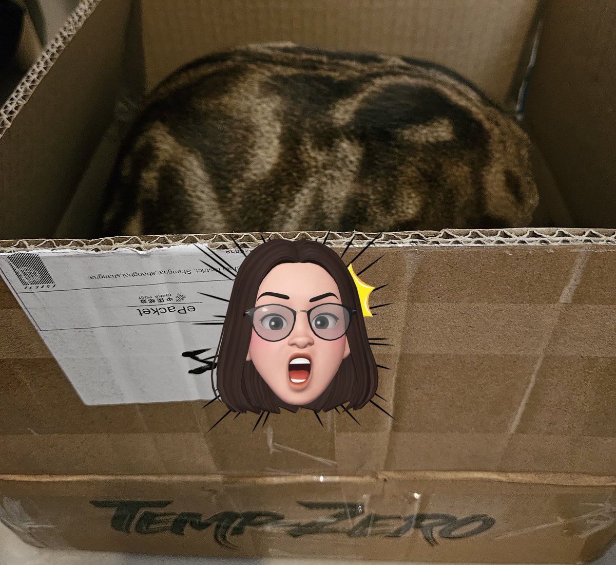 phicha__'s tweet photo. My temp zero cardboard box has been infiltrated by a snake!!
#TempZero #linglingkwong #หลิงหลิงคอง
It's a snake! Oops my bad, it's just my cat 😽 https://t.co/ytmsWnvs5K
