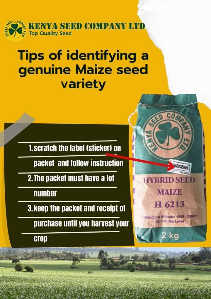 kenyaseedltd's tweet photo. π«πππ π¬πππππππ
πͺππππππππ,
We urge you to be vigilant and ensure that you buy genuine seed from Kenya Seed Outlets or authorized seed dealers. Here are some tips to help you identify and avoid fake seed.
#topqualityseed
#foodsecurity
@Simlaw_Seeds https://t.co/SvH70x37Yv