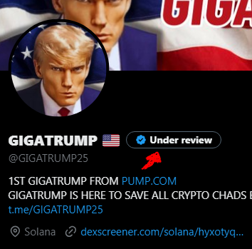 GIGATRUMP 🇺🇸 tweet media