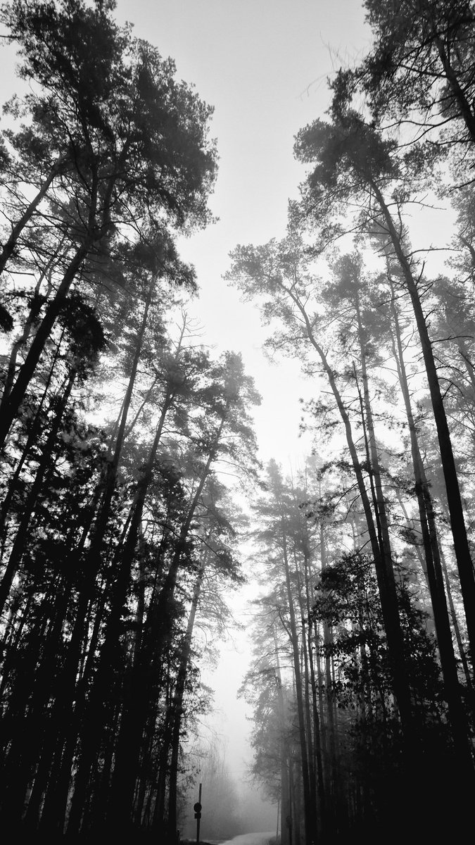 Einfach_ich (@einfach_ich_3) on Twitter photo 