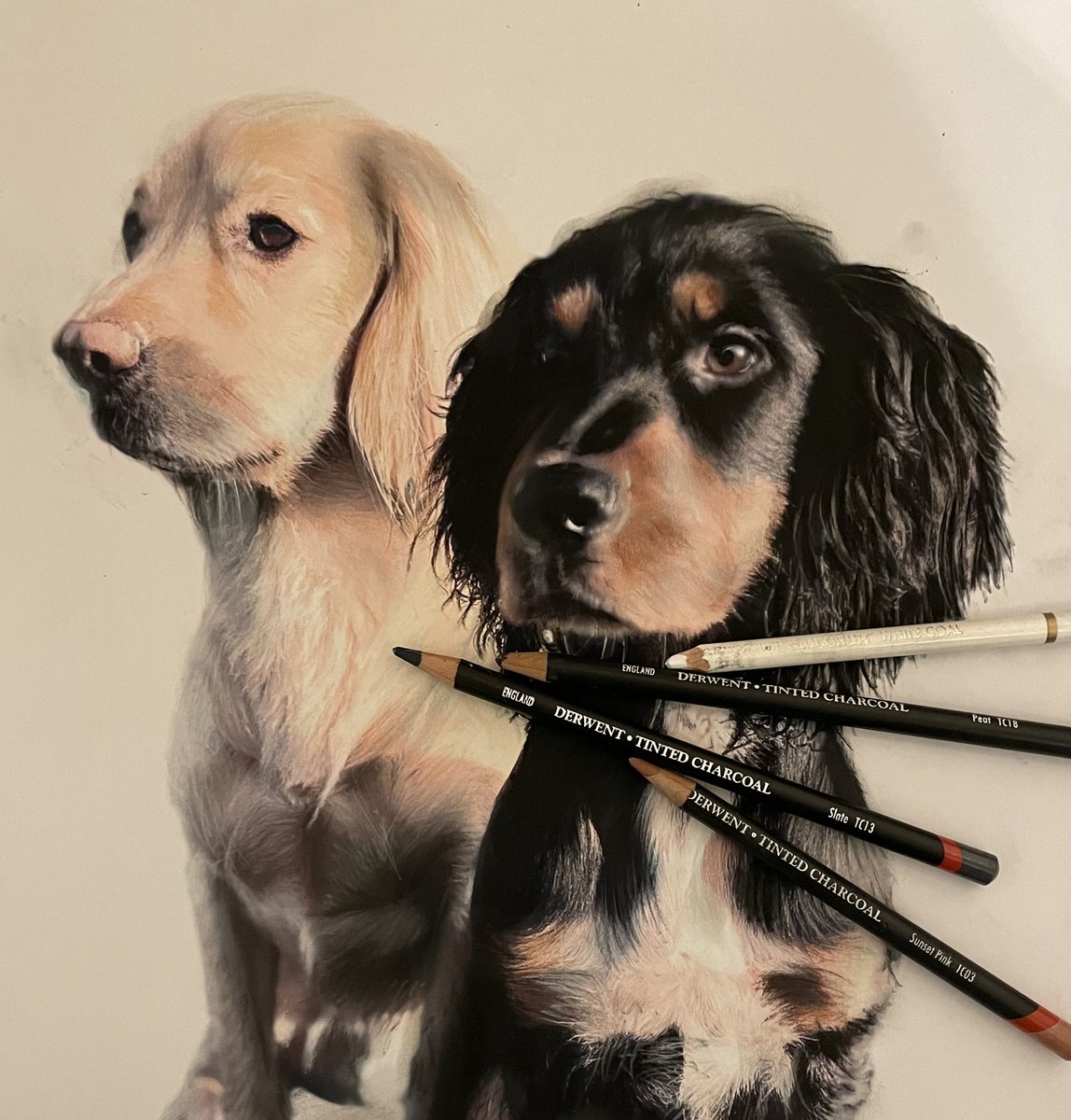 Hi all, anyone out there with a humongous amount of followers who can help me generate more awareness please ? Hoping to create a steady workflow in 2025, and any help with re-posts, likes and follows means such a lot to me, stay safe everyone, regards, Andrew.