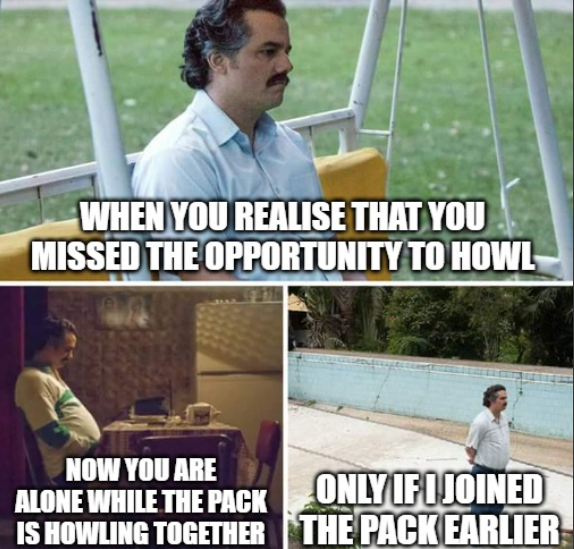 howlcoinxyz's tweet photo. Regret hits hard when you miss the call to HOWL. 🐺 Don’t be left out while the Pack roars together. Join $HOWL now! 🚀 

#HOWLforFreedom #JoinThePack #TweetToHOWL #Solana #memecoin https://t.co/qia5iSwHuh