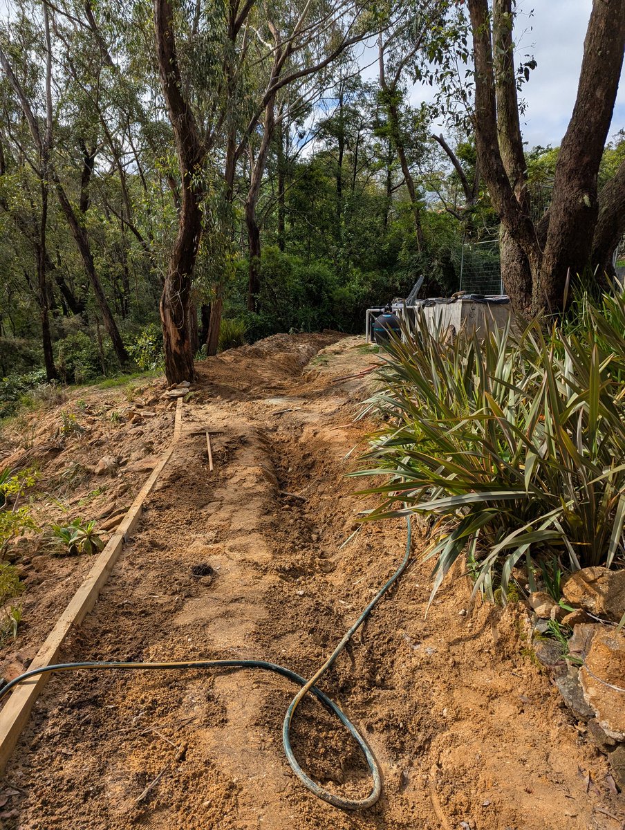 @evcricket@mastodon.social tweet media