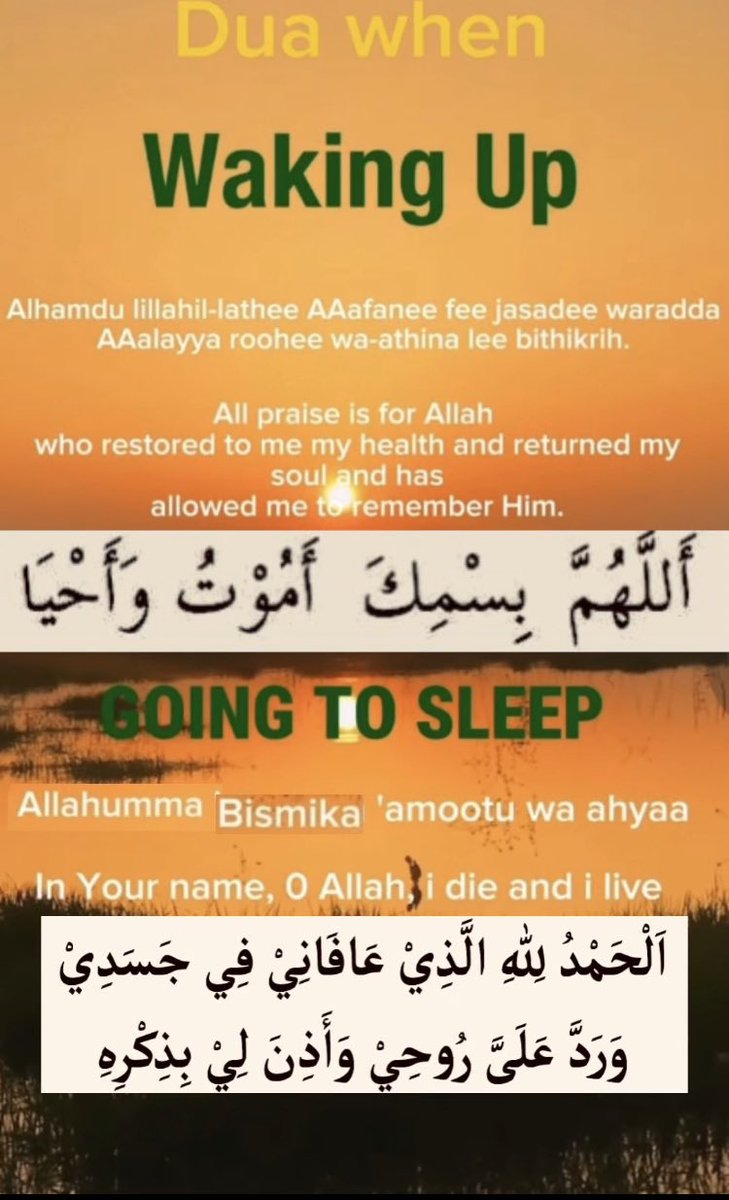 Daily D33N tweet media