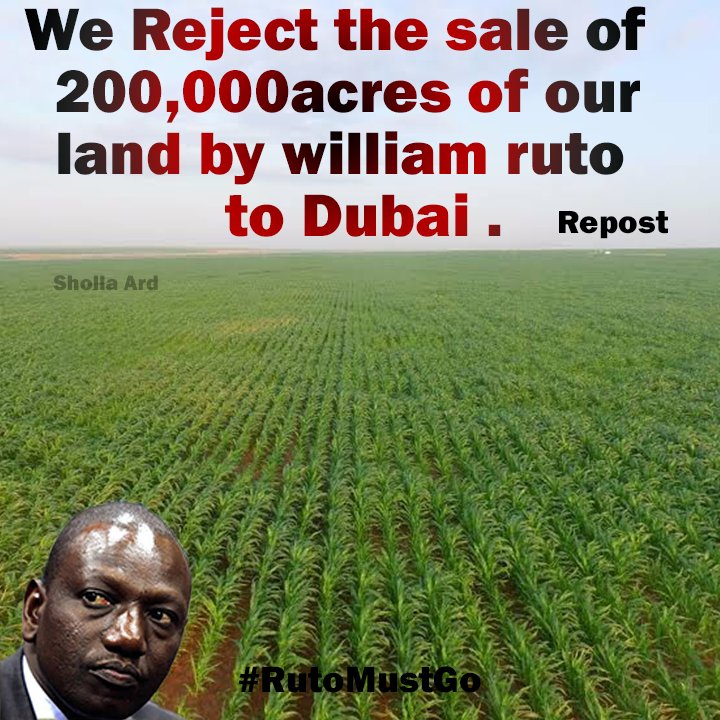 jazielnjiriri's tweet image. We Strongly Reject Selling of 200,000 acres of Gulana Kulalu to Arabs at a cost of 105 Billion Shillings. 
REJECT ✊✊✊
#RutoMustGo