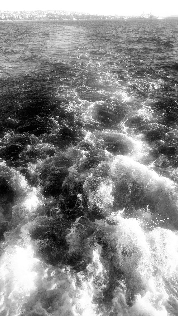 Alarga gönül,
palamarı çöz…
Amiral
demir al… 

Gönül kaptan köprüsüne çık…
Çayır kokusu alan
bir tay gibi kokla açık denizleri…
Çevirmesin senin kafanı geri
geride kalanlara doğru giden
dümen suyunun köpüklü izleri… 

Nazım Hikmet